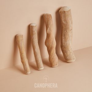 Canophera - Refill Case - Coffee Wood Chew Sticks (15 XS, 15 SM, 18 MD, 12 LG, 8 XL)